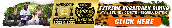 extreme horse adventure minibanner