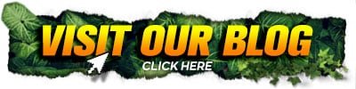visit-our-cancun-adventure-blog