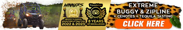 mini banner buggy tour cancun extreme
