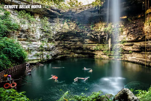cenote-selva-maya