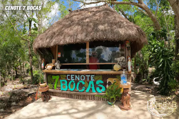 palapa-cenote-7-bocas