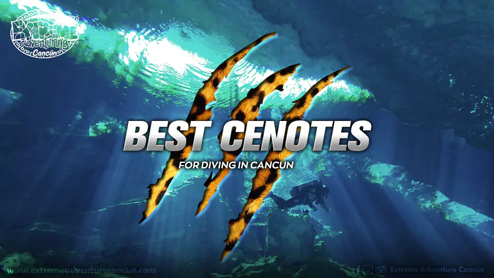 The Best Cenote Diving Mexico Experience - Extreme Adventure Cancun