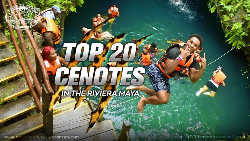 The 20 Most Stunning Cenotes Riviera Maya