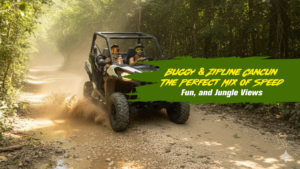 Buggy & Zipline Cancun: The Perfect Mix of Speed, Fun, and Jungle Views”
